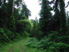 img_598